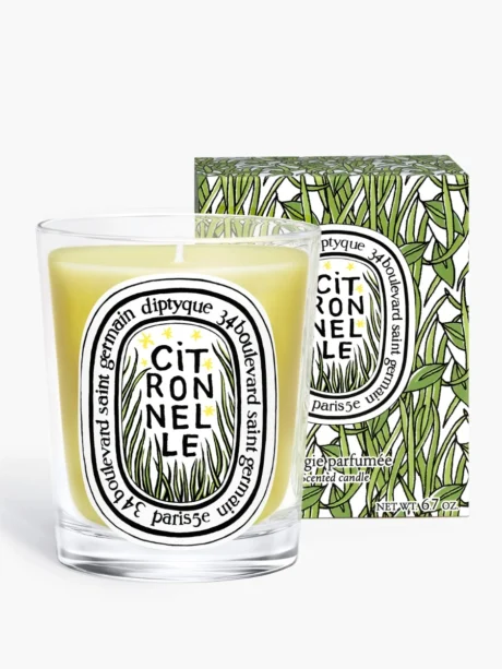 bougie-citronnelle_summer-2025_190g_sum25ci190_rvb_bd_fond-gris_spec-ecom_2_diptyque.jpg-2